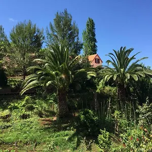 Casa D'olivia Ferienhaus Porto Da Cruz